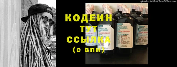 шишки Балахна