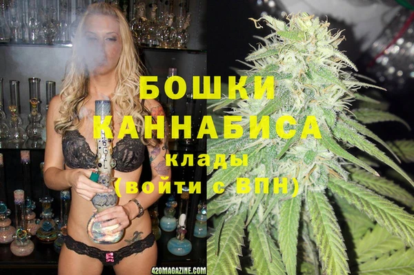 шишки Балахна